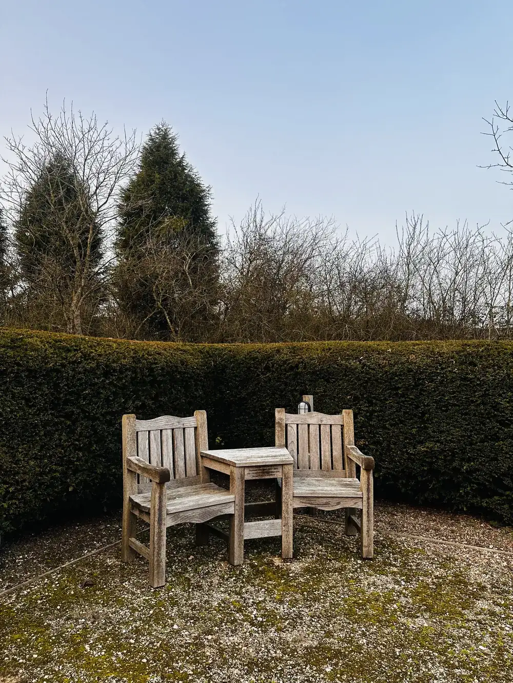 Two wooden garden chairs in a sheltered hedged corner