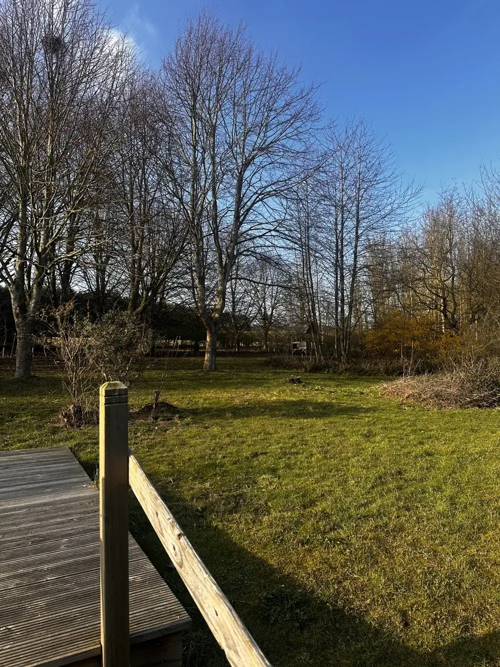 Sunlit lawns and trees in the grounds of Vantom Village