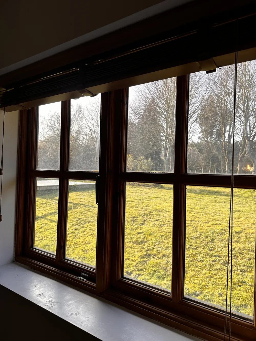 Window looking out over sunlit lawn