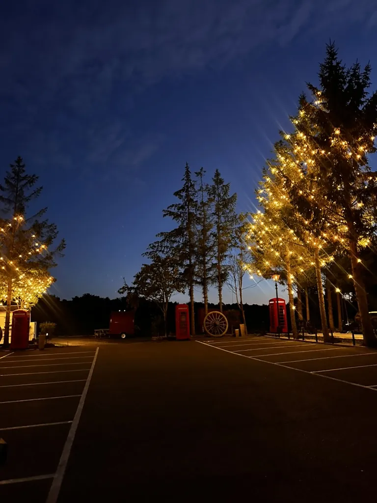 Christmas tree glowing at night in the village courtyard