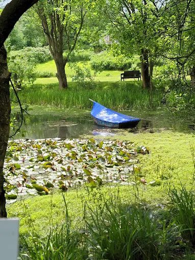 Water lilies and a blue boat on the pond