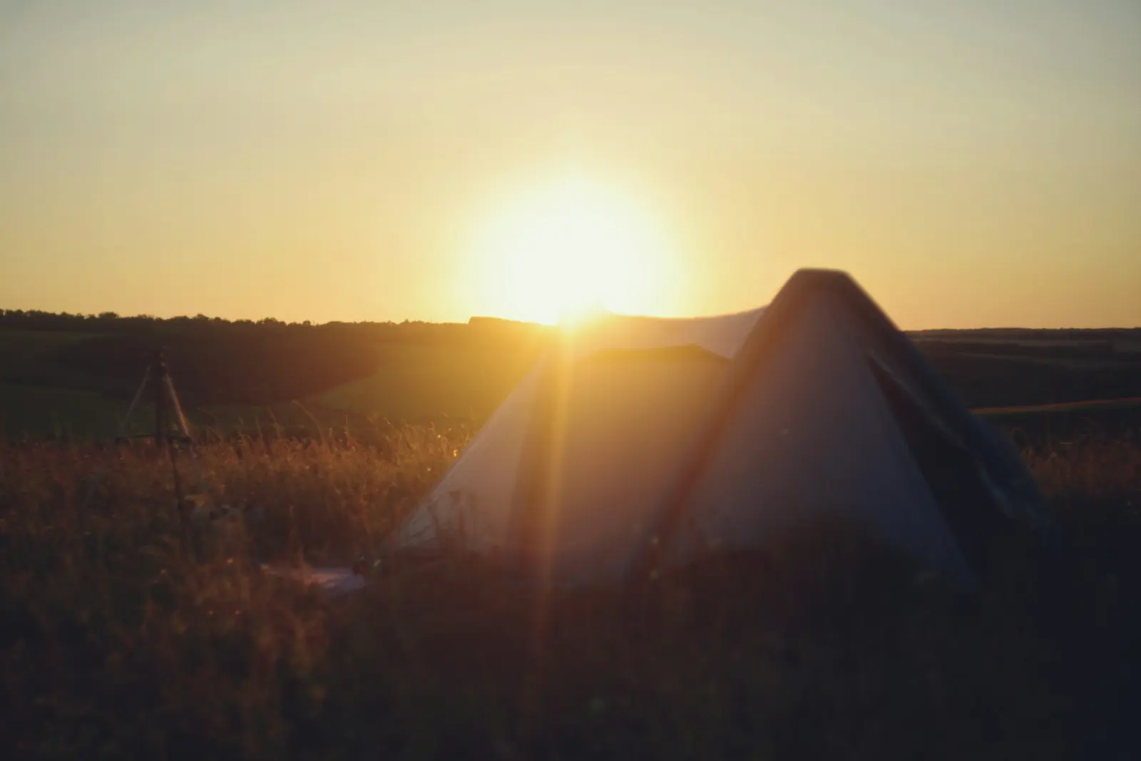 Tent in a field at golden hour